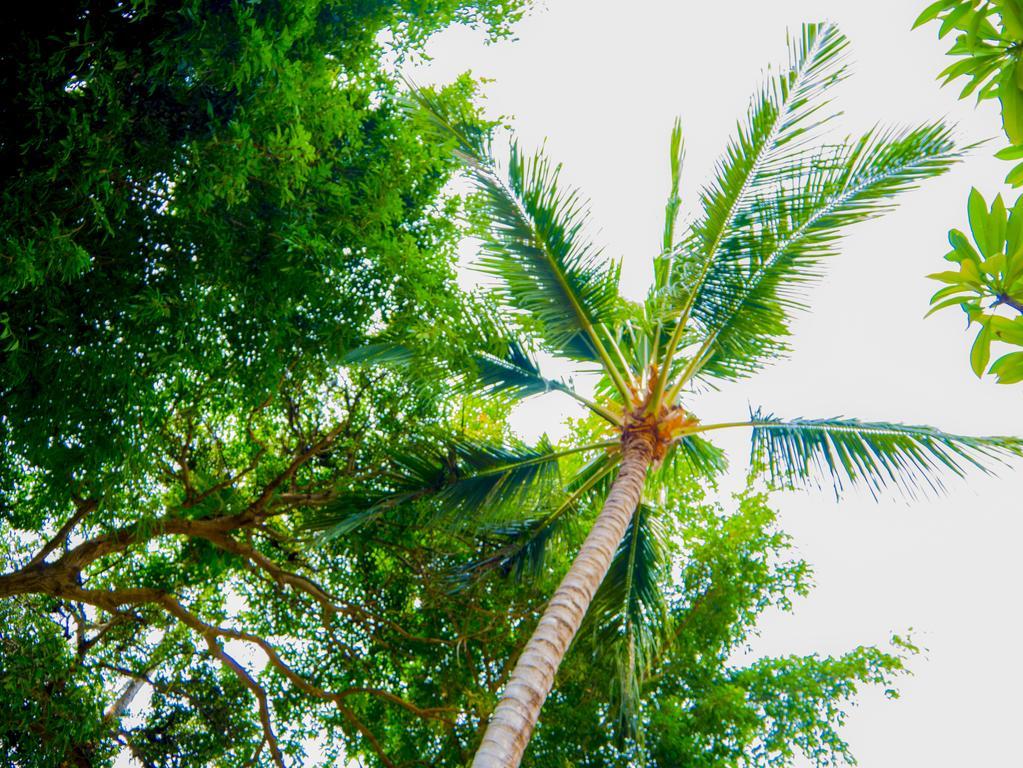 Monsoon Pousada Bophut